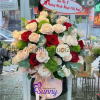 Thiet ke chua co ten 1 4