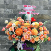 Thiet ke chua co ten 2 10