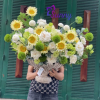 Lẵng Hoa Tươi Xanh - BH509 3 Thiet ke chua co ten 22 1