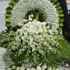Thiet ke chua co ten 48 4