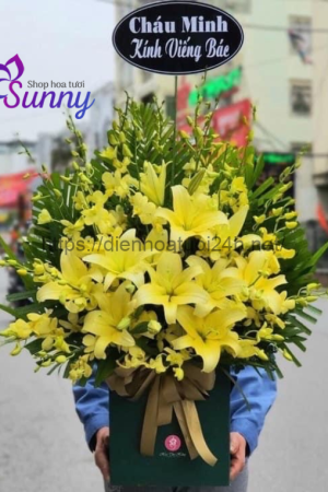 Thiet ke chua co ten 6